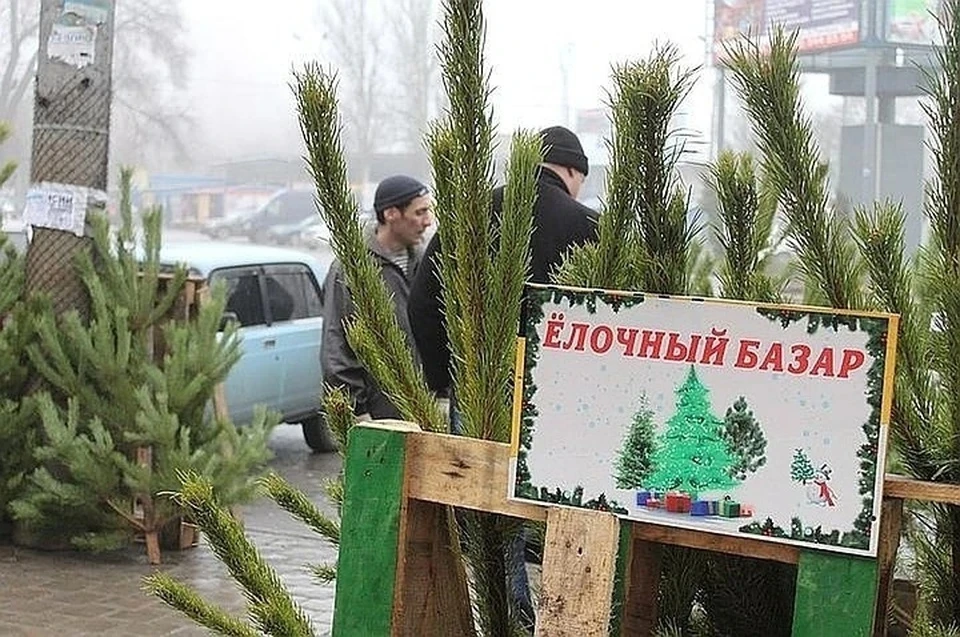 Елочные базары в Донецке будут работать с 15 по 31 декабря