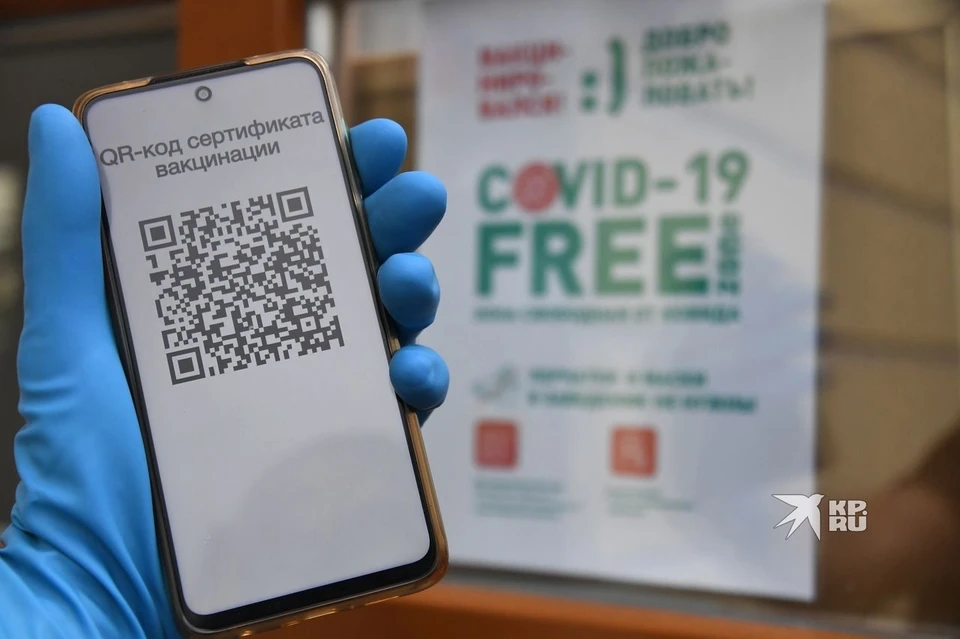 До 14 декабря свой отзыв на законопроект о QR-кодах должны дать все региональные парламенты.