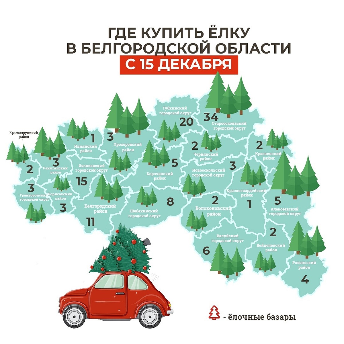 Ёлочные базары откроются в Белгородской области уже на следующей неделе -  KP.RU