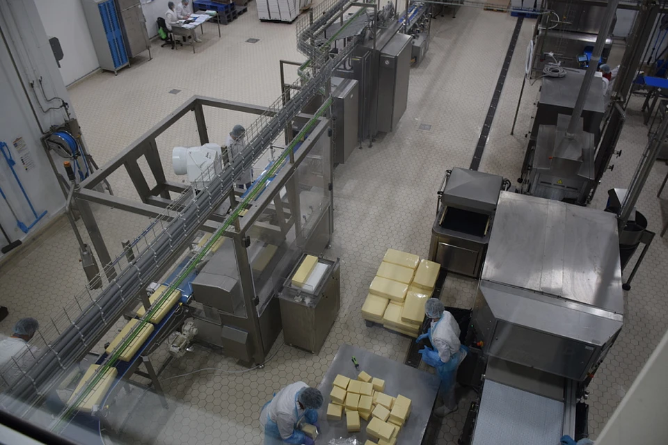 В этом году производство сыров на предприятии увеличилось на 56% Фото: пресс-служба краевой администрации
