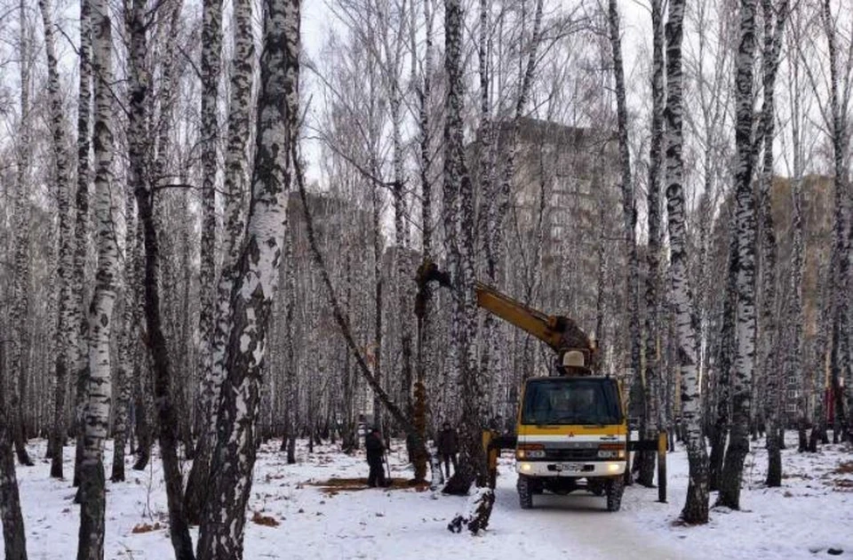 В леске у ЖК «Горизонт» по просьбе жильцов установили опоры освещения.