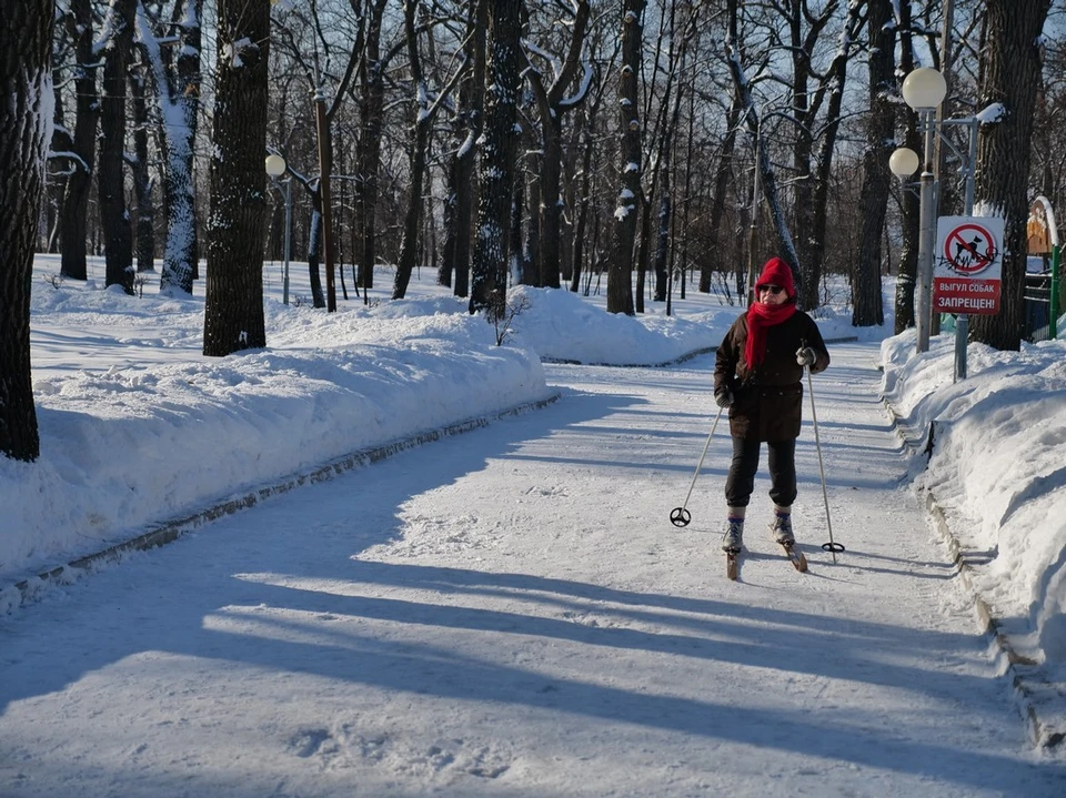 Самарцы смогут рассекать на лыжах по городским паркам и скверам