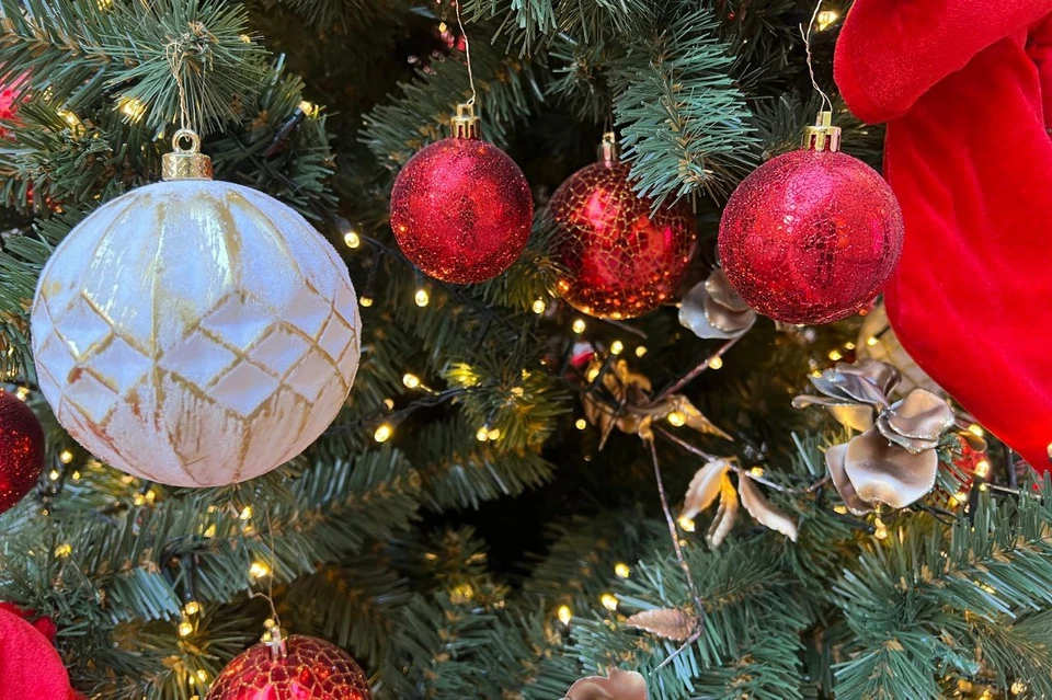 Даем пять советов, как выбрать живую новогоднюю ёлку