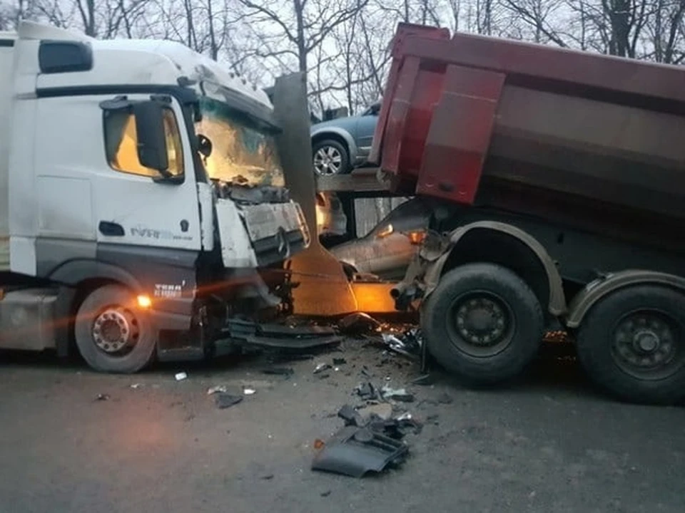 Столкнулись два большегруза Scania (в том числе автовоз), а также Man и Mercedes-Benz. Фото: ГИБДД по РБ
