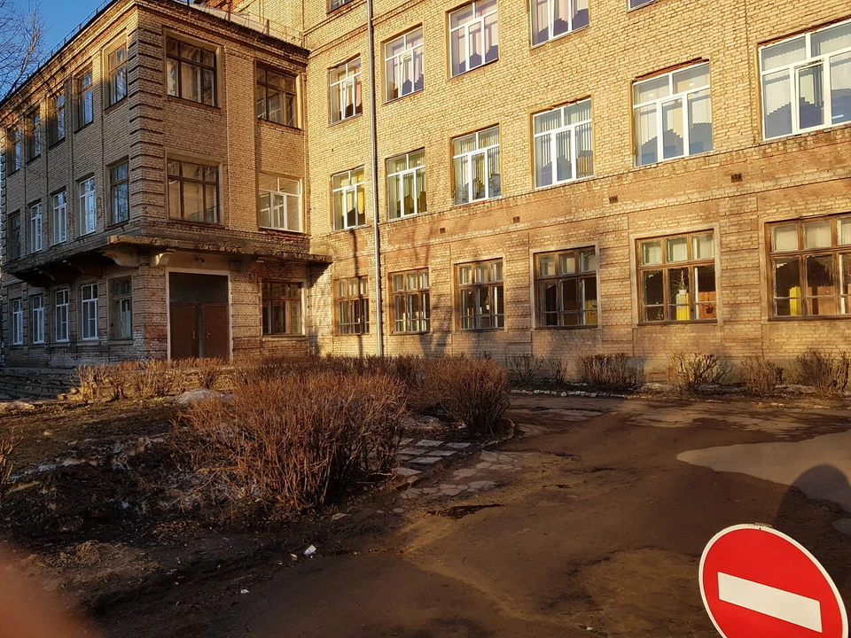 Ситуация с тараканом в тульском ЦО № 31 продолжает развиваться
