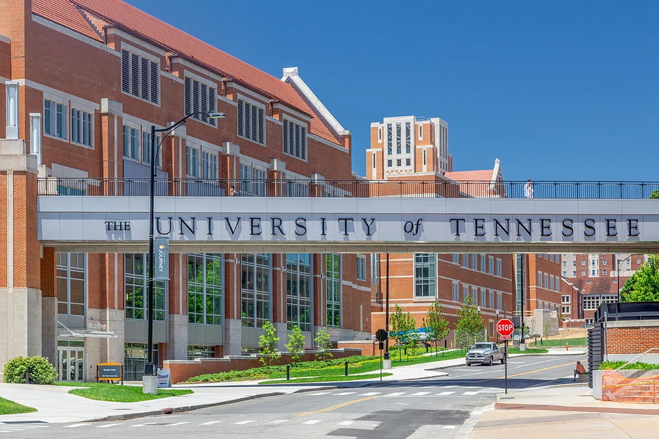 Не исключено, что учебные программы 2022 года будут самыми читаемыми за всю историю