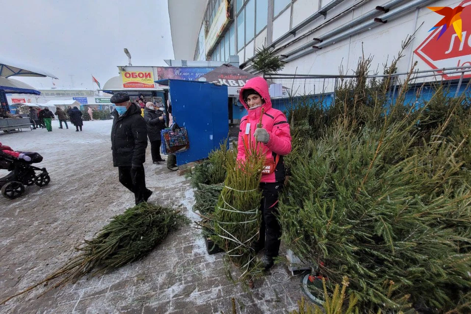 Выбор новогоднего дерева - задача значимая и непростая