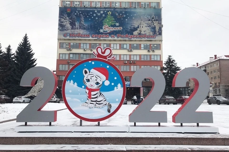 Фото: пресс-служба Брянской городской администрации.