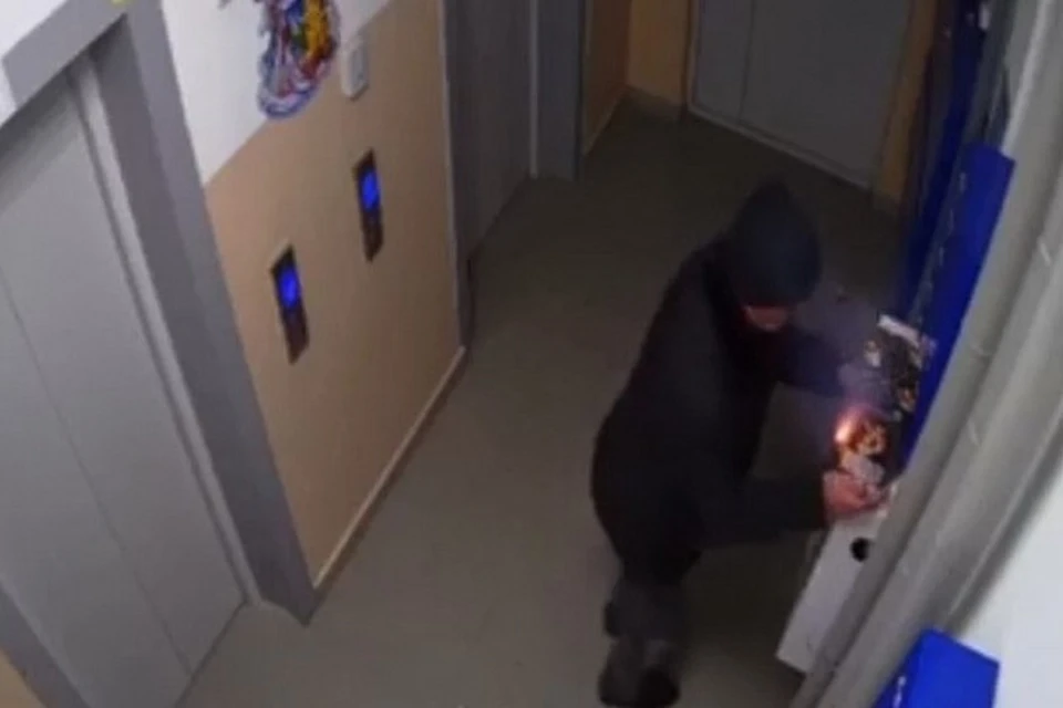 Мужчина берет в руки подожженный фейерверк. Фото: скриншот с видео