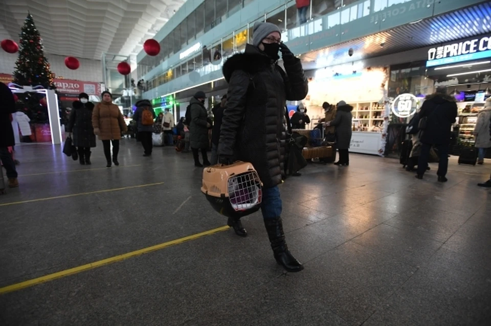 Омская область проваливается в демографическую яму: снижается рождаемость, растет смертность, а местные жители стремительно уезжают
