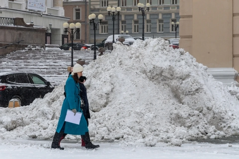 За сутки в городе выпадет до 20% осадков от январской нормы