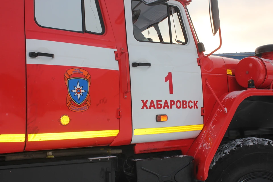 В Хабаровском крае горит ферма: заживо погибли в огне 180 голов скота