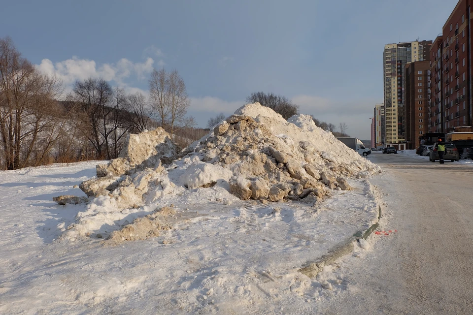Фото: Густаво Зырянов