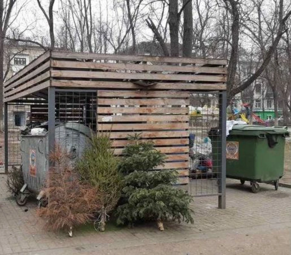 Мэрия Кишинева просит оставлять елки у мусорных контейнеров. Фото: chisinau.md