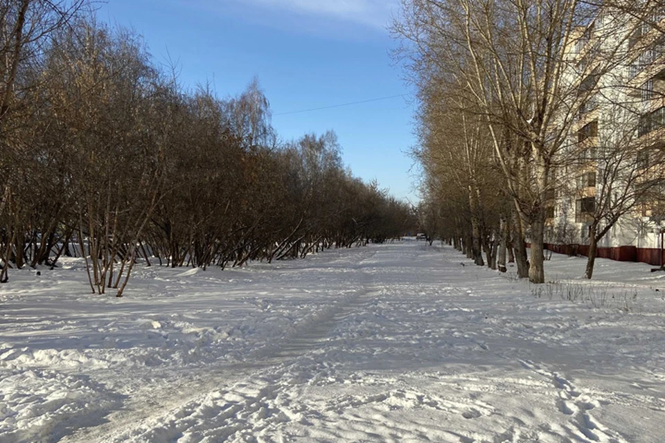 Тротуар на Павловском тракте не чистили всю зиму