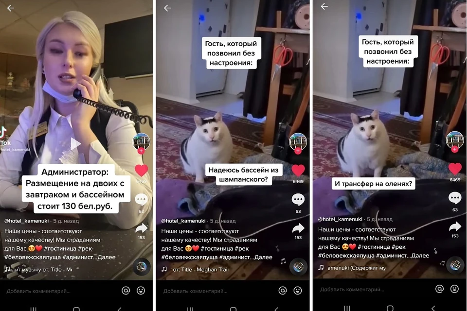 В белорусской гостинице рассказали о клиентах с плохим настроением. Фото: стоп-кадр | видео TikTok @hotel_kamenuki