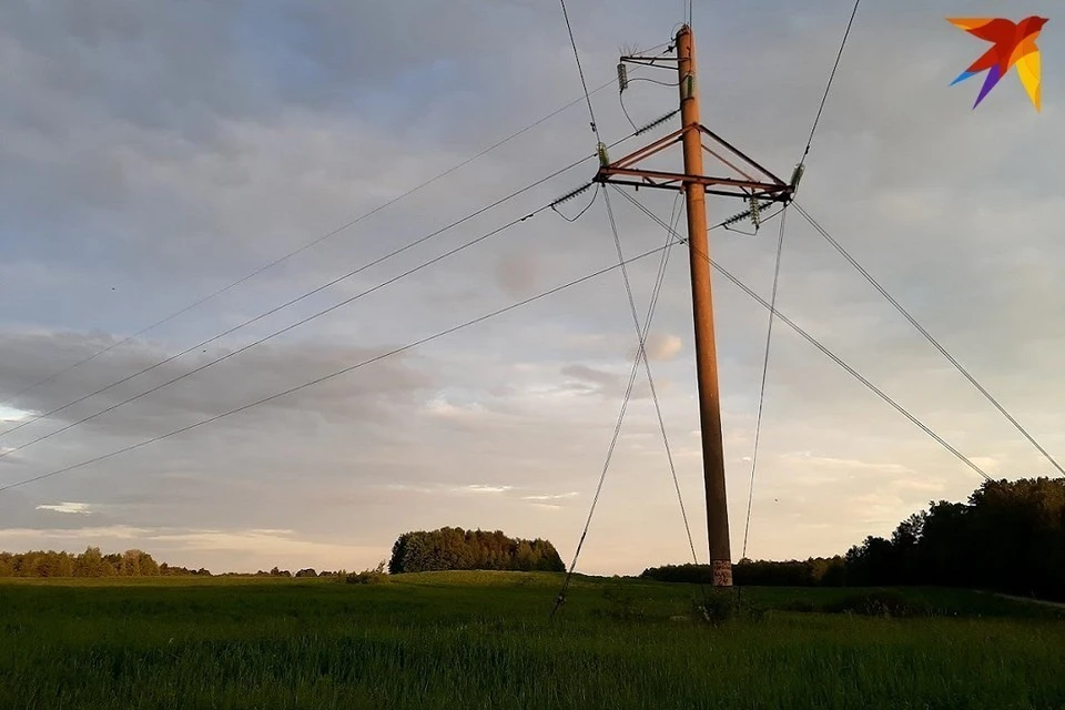 Беларусь наращивает объемы поставок электроэнергии в Украину. Фото: София Голуб