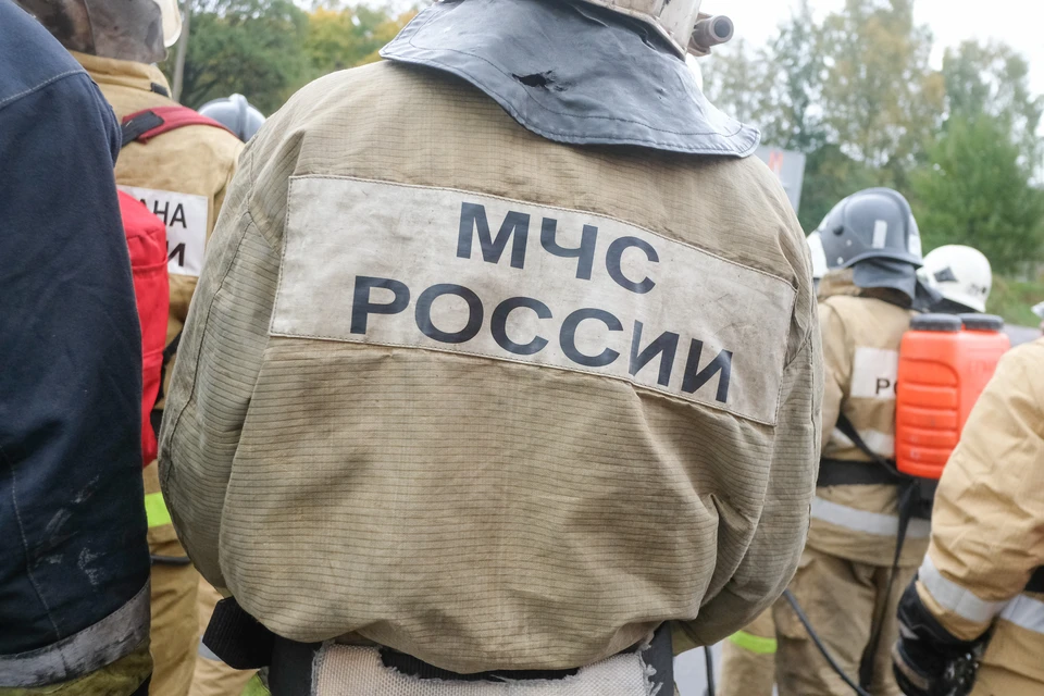 Психологи работают с родными девочки, погибшей на пожаре в Парголово.