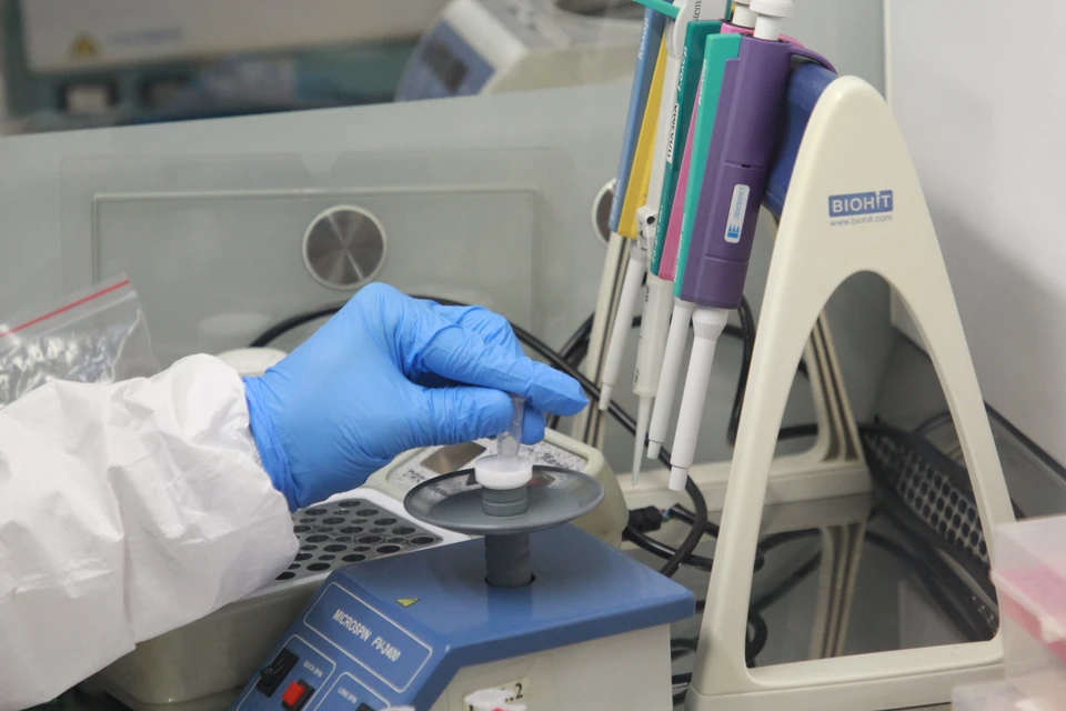 Сдать тест на омикрон-штамм можно в 4 лабораториях Новосибирска.