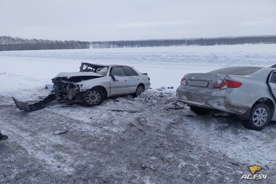 В ожидании экстренных служб пострадавшим помогали проезжающие мимо водители. Фото: «АСТ-54»