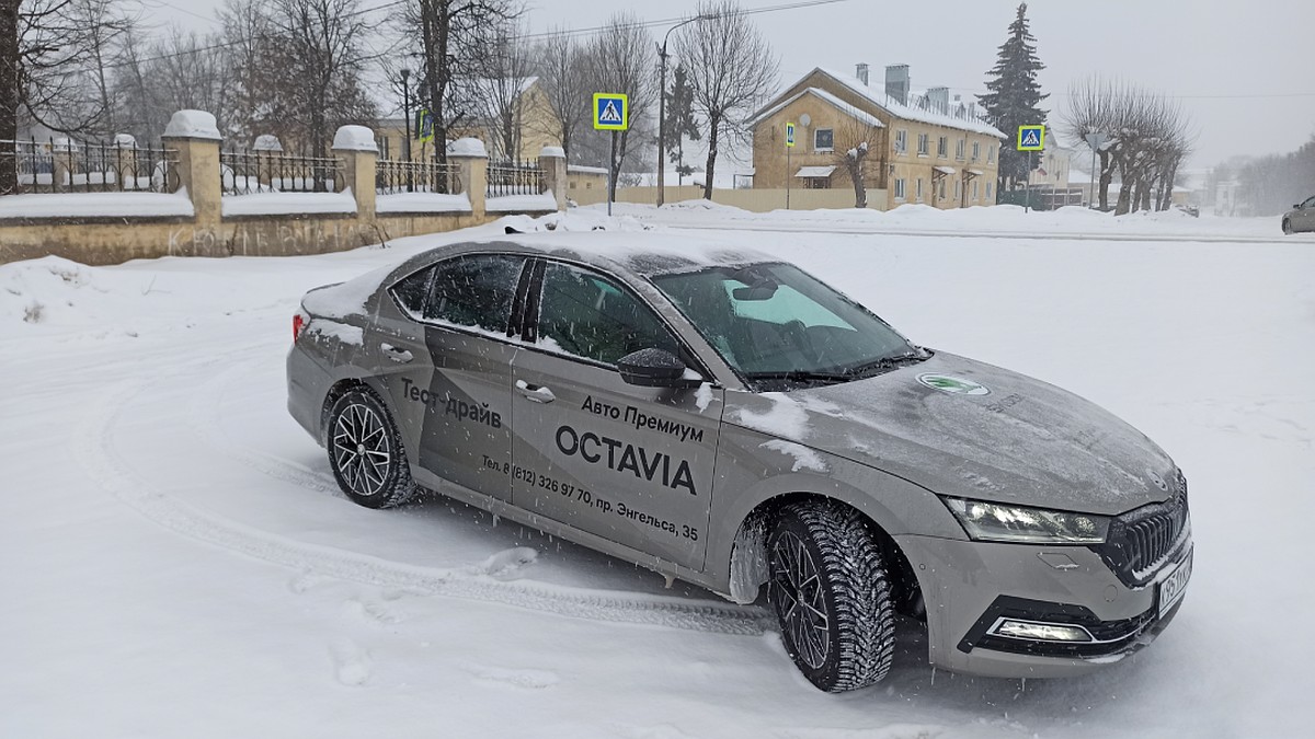 Тестовый парк SKODA «Авто Премиум» обновлен - KP.RU