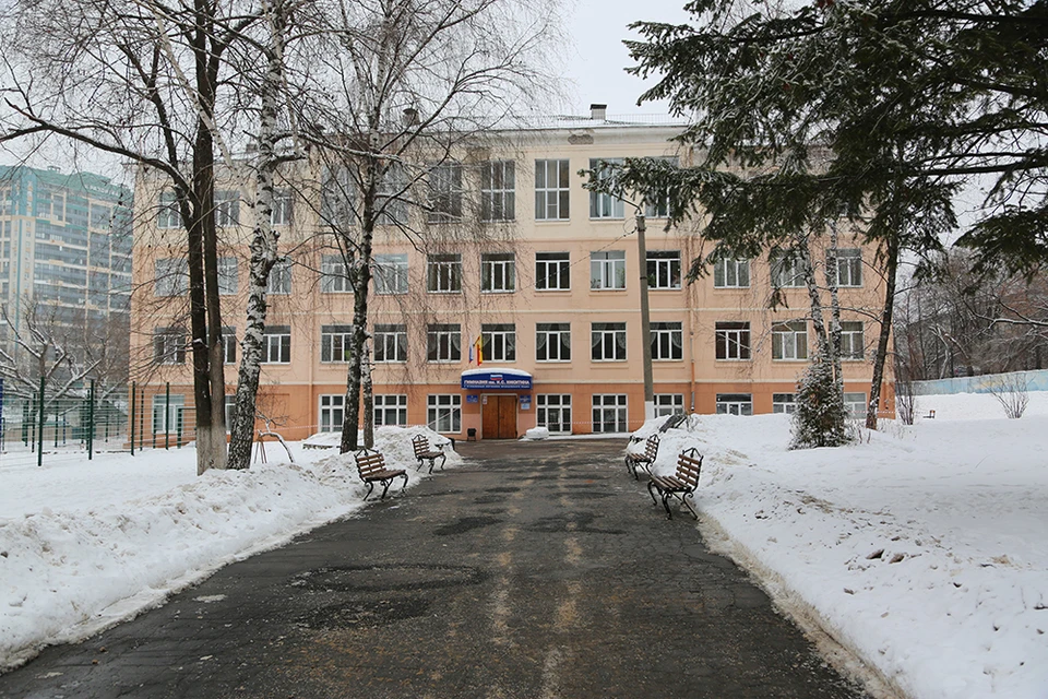 Гимназия имени Никитина скоро преобразится.