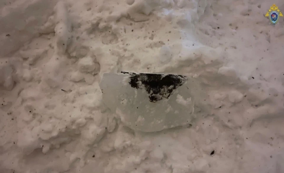 Кусок льда пробил женщине голову. Фото: СУ СКР по Самарской области