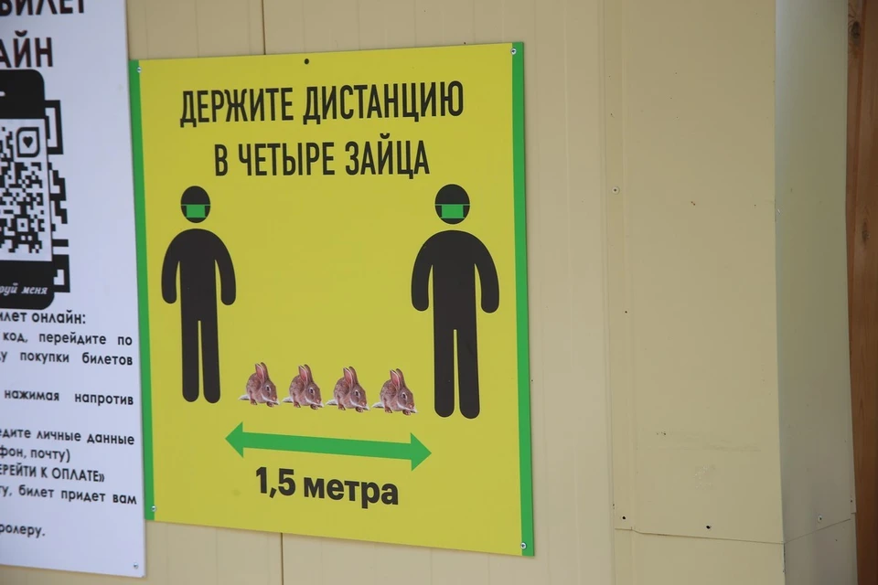 В Красноярске количество заразившихся COVID-19 за сутки выросло на 7 313 человека