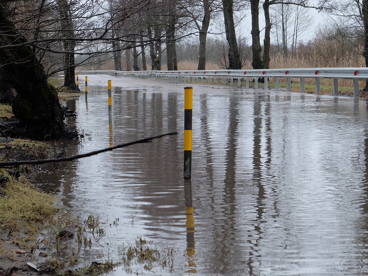 Воду даже из-под земли давит»: как живет поселок под Калининградом, который  тонет после каждого шторма - KP.RU