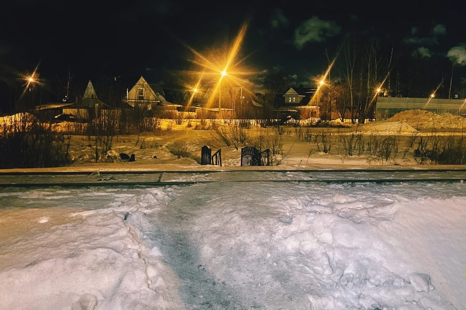 Шестилетний мальчик погиб под электричкой на севере Петербурга. Фото: vk.com/dorinspb