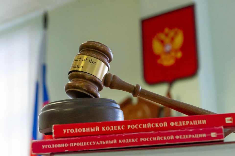 Суд отправил под домашний арест фигуранта "снежного дела" в Петербурге