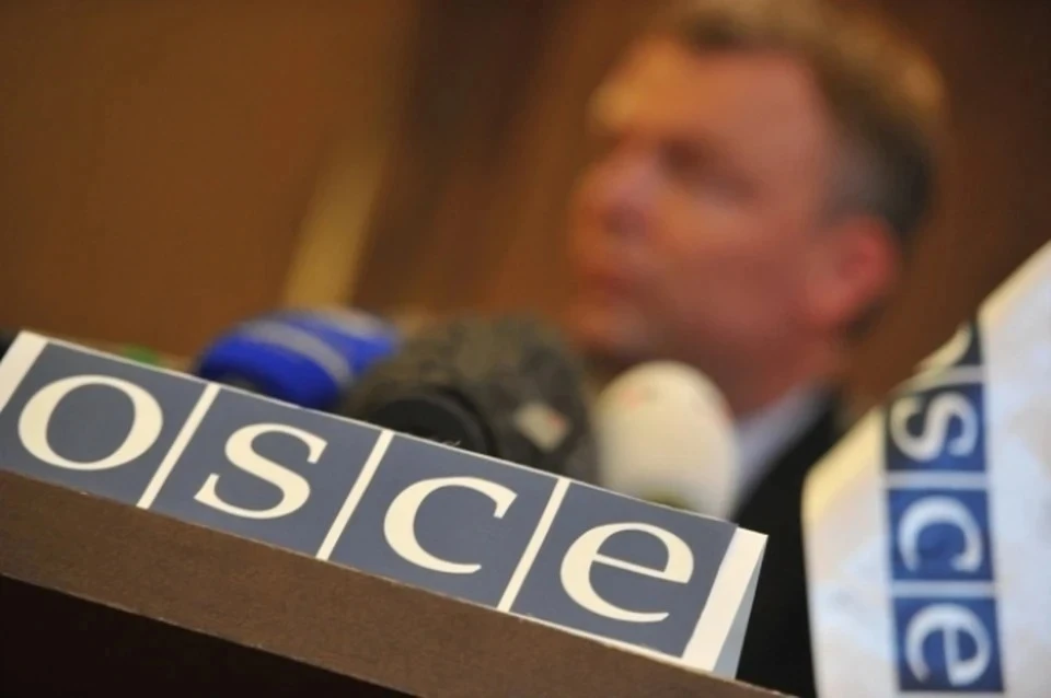 Россия отказалась от участия в консультациях ОБСЕ по Венскому документу Фото: Камека Светлана