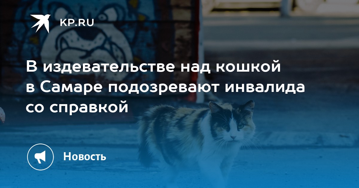 Петиция остановите издевательство над кошками в приложении