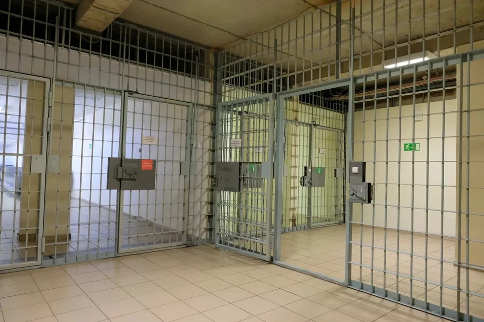 В Петербурге суд отправил на пять лет в тюрьму горе-мать, которая кулаками воспитывала ребенка.