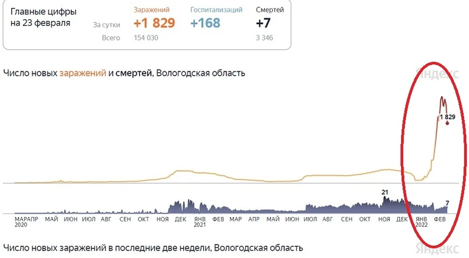 Как в России, так и на Вологодчине статистика заболевших резко пошла вниз. Инфографика Яндекс.