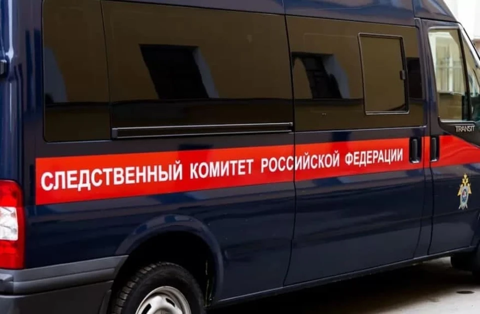 Результаты проверки инспекции будут направлены в СКР.