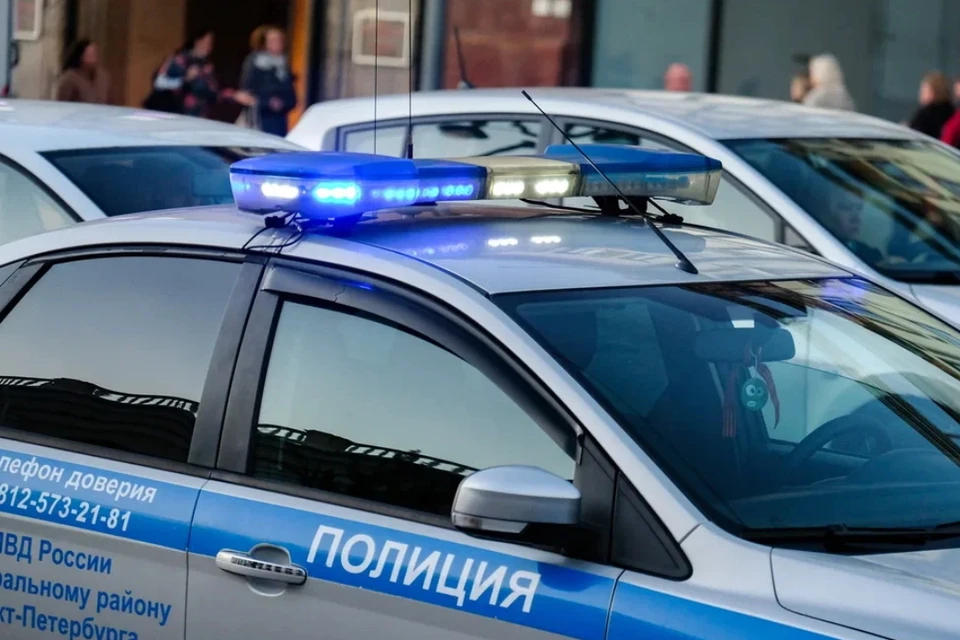 В Ленобласти в гараже у пенсионера обнаружили тротиловые шашки.