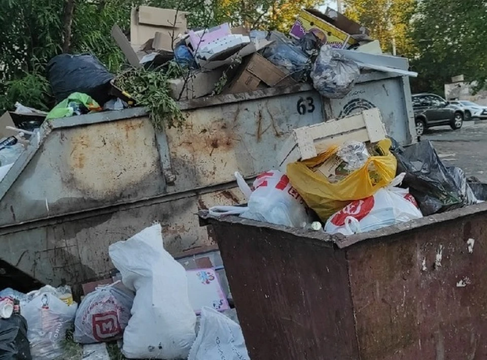 Количество отходов на тюменских полигонах снизят в два раза через 8 лет.
