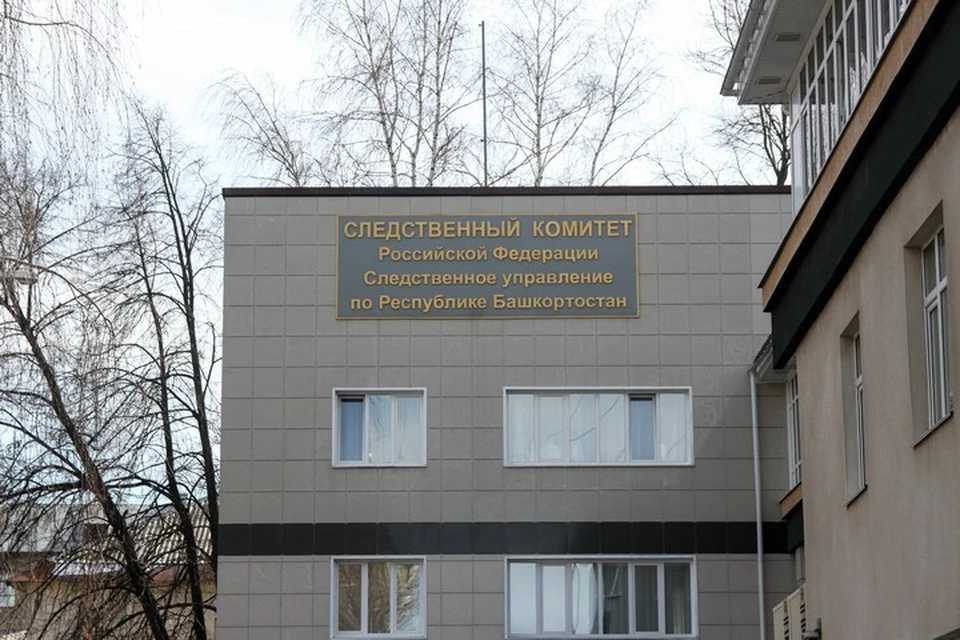 Следователи возбудили уголовное дело о мошенничестве