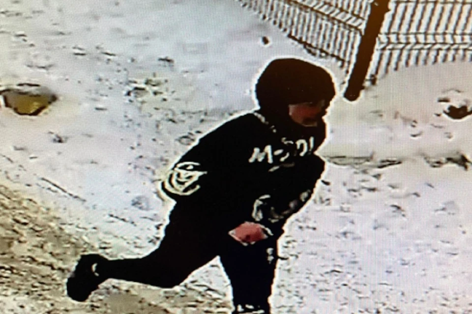 В Новосибирске 20-летний парень вырвал сумку с продуктами у 76-летней пенсионерки. Фото: ГУ МВД по НСО.