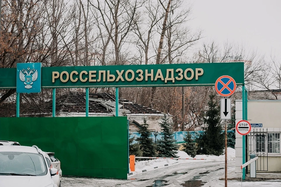 Фото: Вячеслав Коваленко