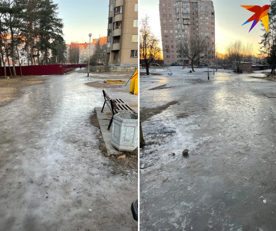 Фото читательницы КП-Псков