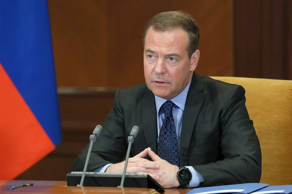 Зампредседателя Совбеза Дмитрий Медведев предложил модернизировать программу поддержки переселения зарубежных соотечественников в Россию. Фото: Екатерина Штукина/POOL/ТАСС
