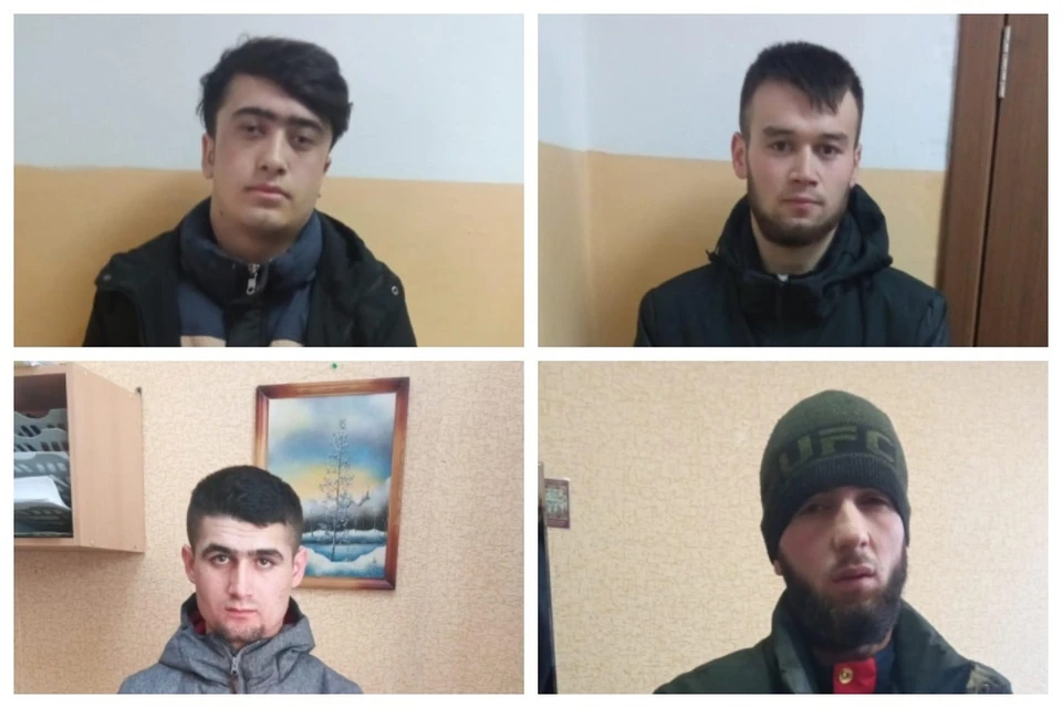 В Новосибирске четверо парней избивали прохожих и отбирали у них телефоны. Фото: ГУ МВД по НСО.