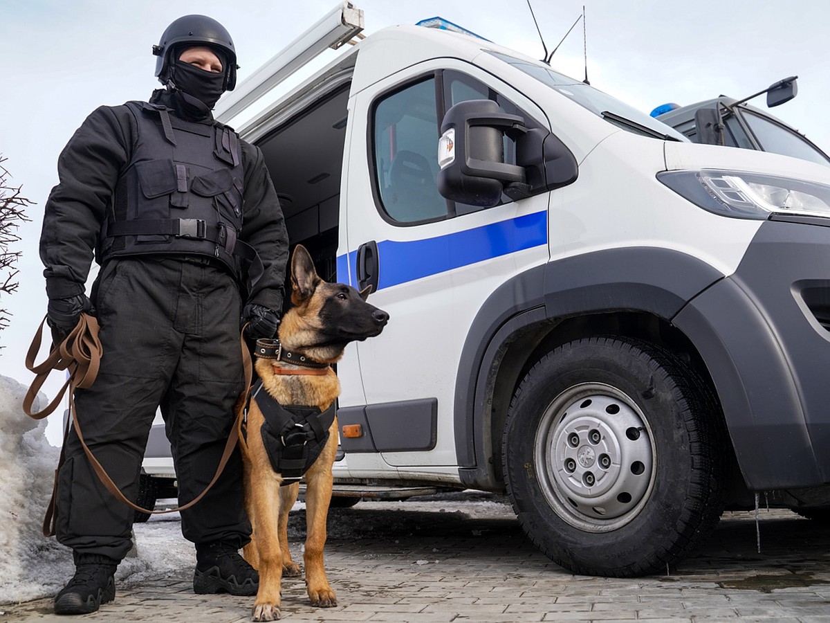 В Самаре преступники с гранатой утащили деньги и телефоны из салона сотовой  связи - KP.RU