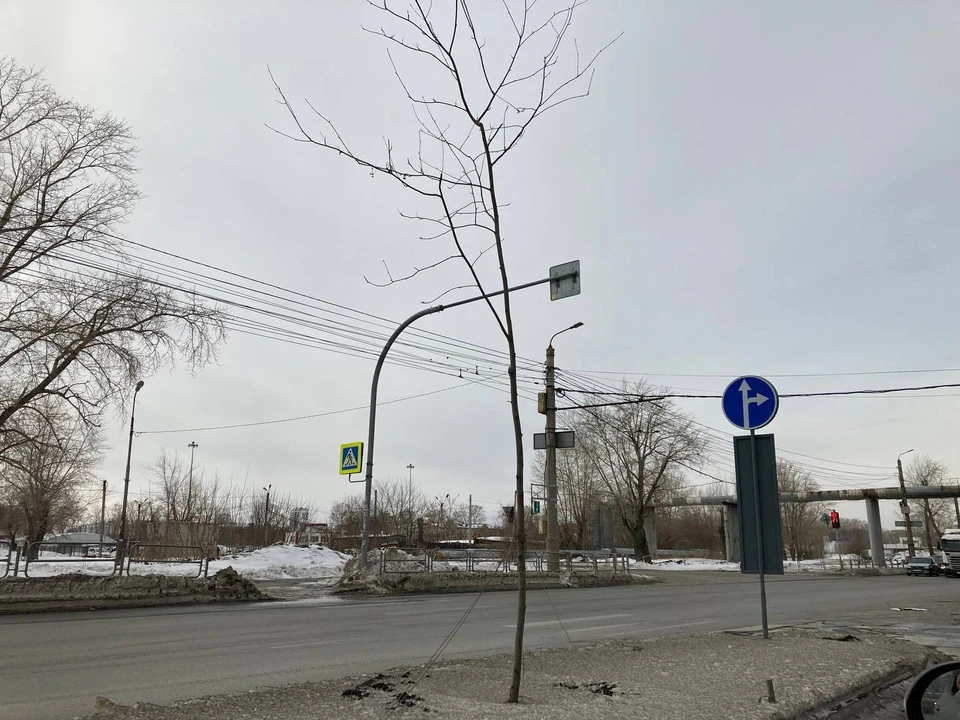 Фото: «Эко-Standart»