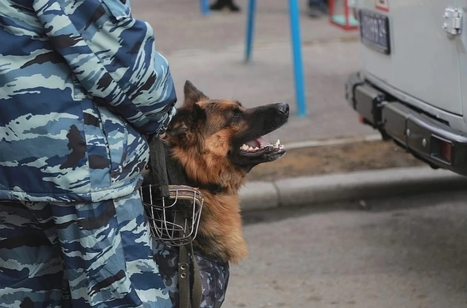 Школы проверяют сотрудники полиции и МЧС.