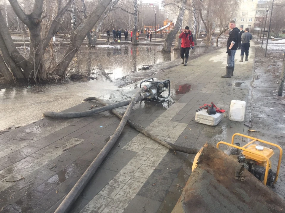 В роще ведут работы по откачке воды