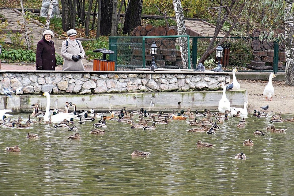 Беседки на озере спартак новосибирск фото