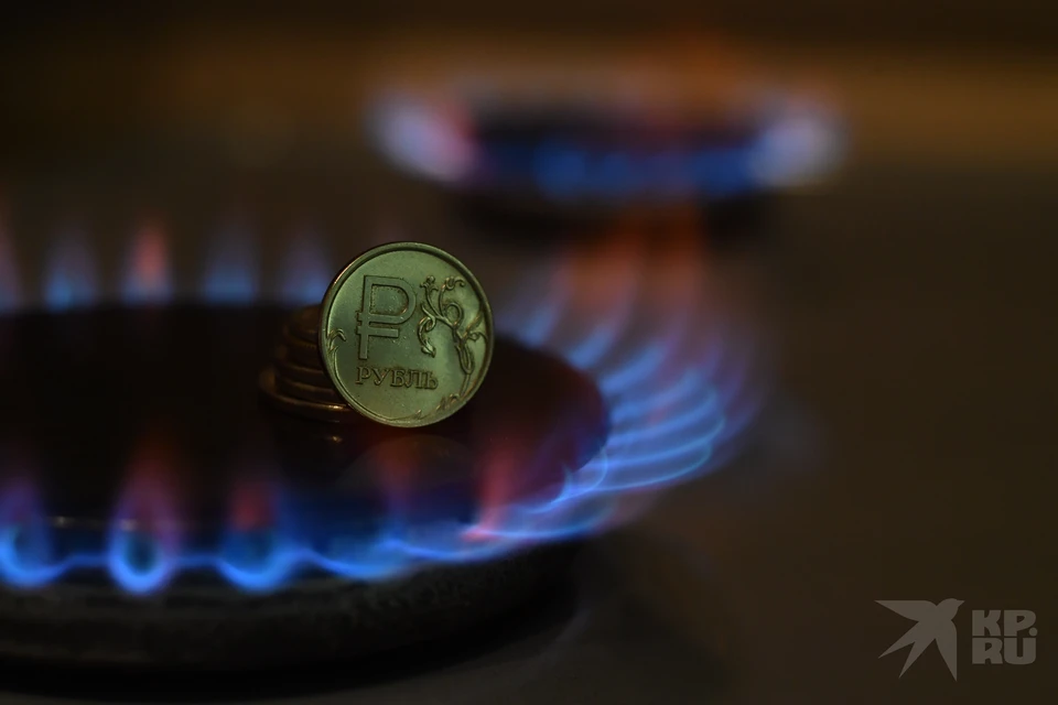 Рязанцы незаконно пользовались газом и нанесли газовщикам ущерб на 1,3 млн рублей.